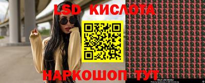 spice Кандалакша