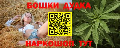 spice Кандалакша